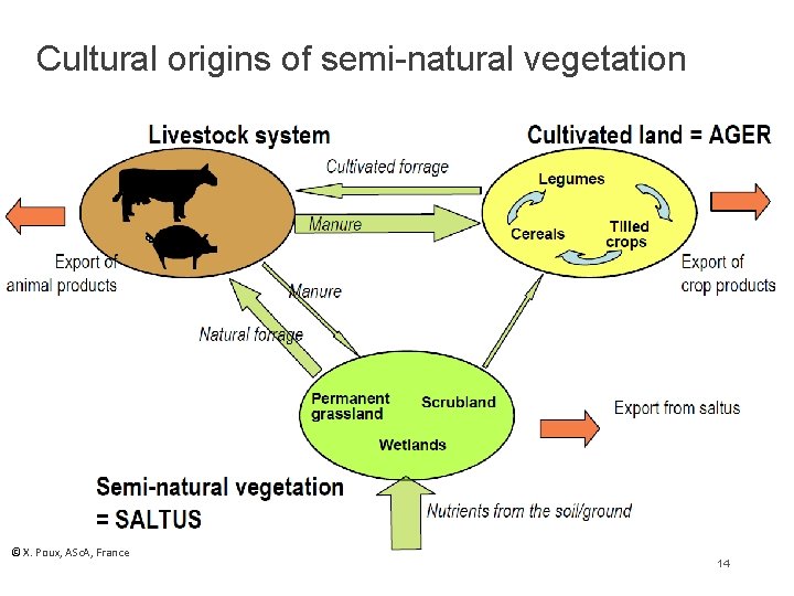 Cultural origins of semi-natural vegetation © X. Poux, ASc. A, France 14 