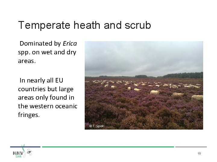 Temperate heath and scrub Dominated by Erica spp. on wet and dry areas. In
