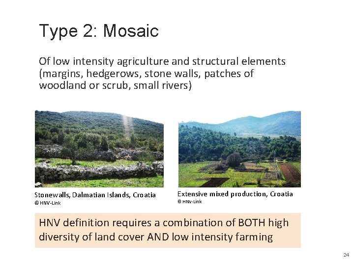 Type 2: Mosaic Of low intensity agriculture and structural elements (margins, hedgerows, stone walls,