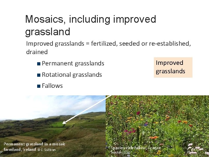 Mosaics, including improved grassland Improved grasslands = fertilized, seeded or re-established, drained Improved grasslands