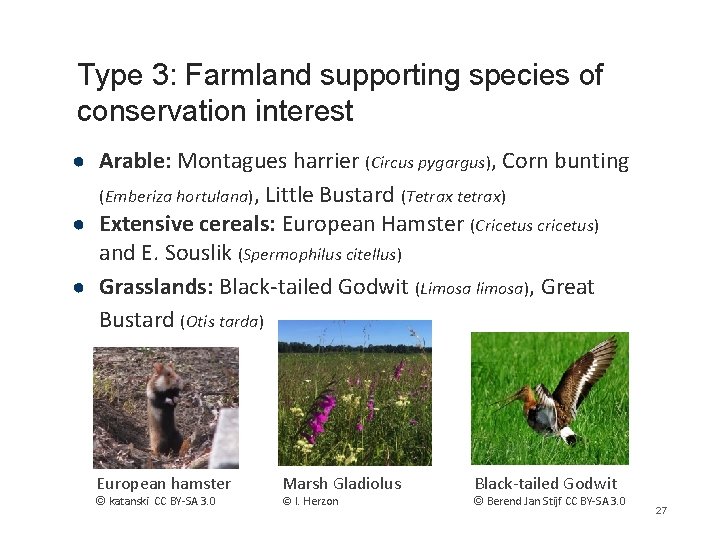 Type 3: Farmland supporting species of conservation interest ● Arable: Montagues harrier (Circus pygargus),