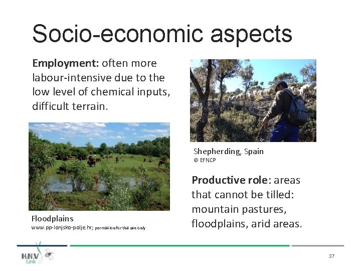 Socio-economic aspects Employment: often more labour-intensive due to the low level of chemical inputs,