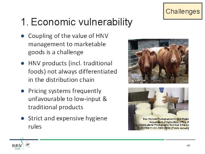 Challenges 1. Economic vulnerability ● Coupling of the value of HNV management to marketable