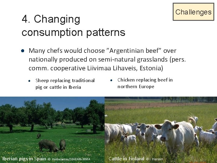 4. Changing consumption patterns Challenges ● Many chefs would choose ”Argentinian beef” over nationally
