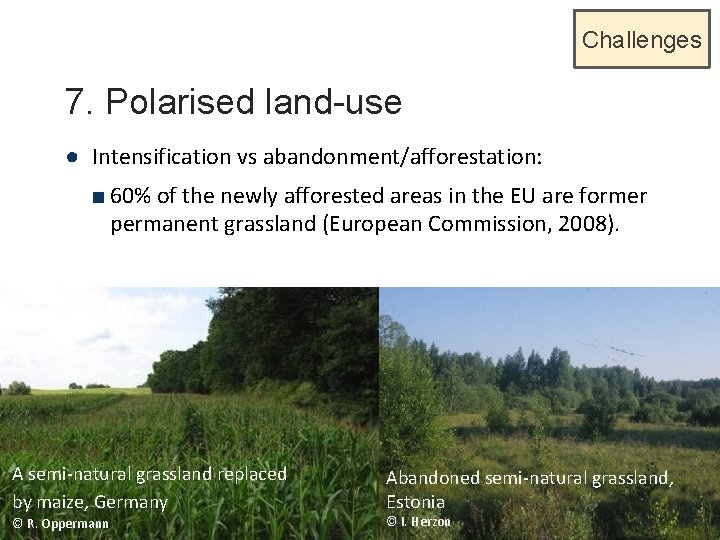 Challenges 7. Polarised land-use ● Intensification vs abandonment/afforestation: ■ 60% of the newly afforested