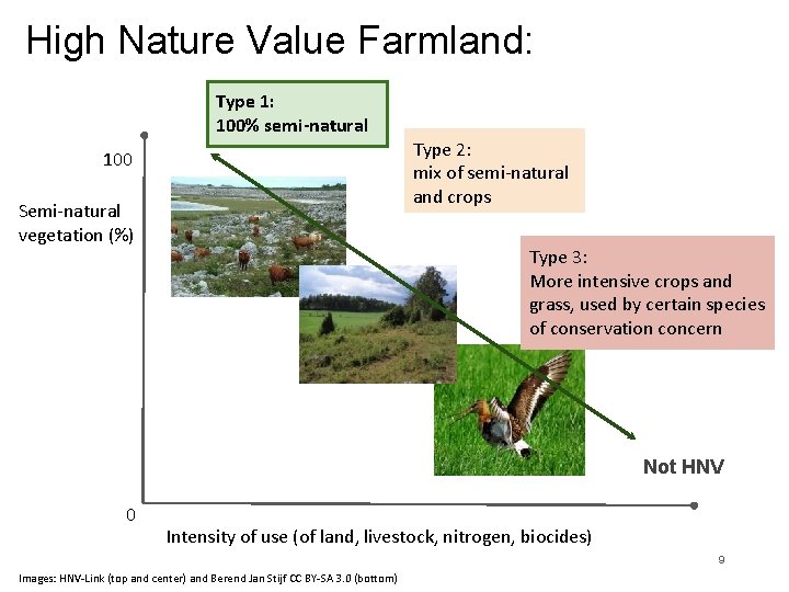 High Nature Value Farmland: Type 1: 100% semi-natural Type 2: mix of semi-natural and