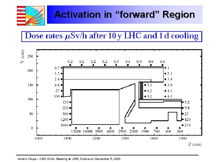 Activation in “forward” Region Andris Skuja – CMS HCAL Meeting at JINR, Dubna on