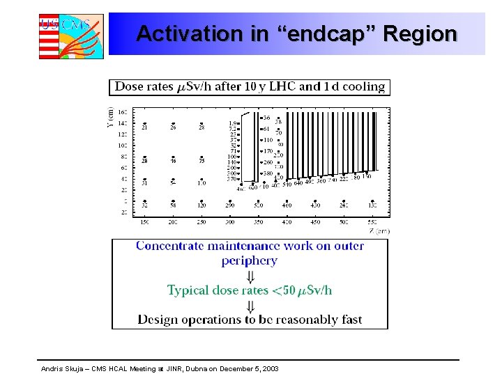 Activation in “endcap” Region Andris Skuja – CMS HCAL Meeting at JINR, Dubna on