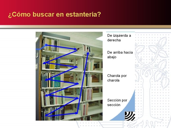 ¿Cómo buscar en estantería? 