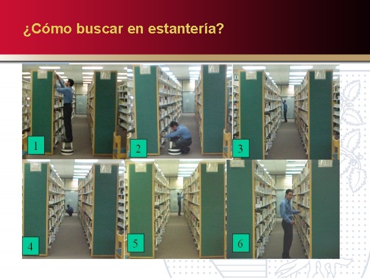 ¿Cómo buscar en estantería? 