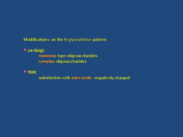 Modifications on the N-glycosilation pattern • cis-Golgi: mannose-type oligosaccharides complex oligosaccharides • TGN: substitution