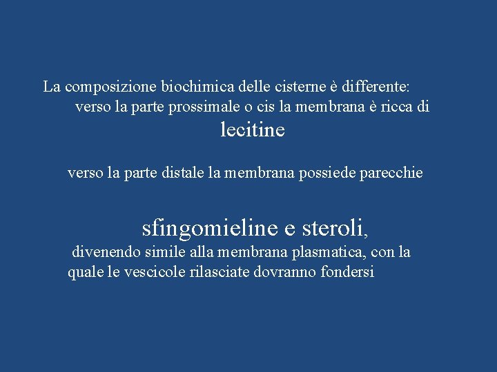 La composizione biochimica delle cisterne è differente: verso la parte prossimale o cis la