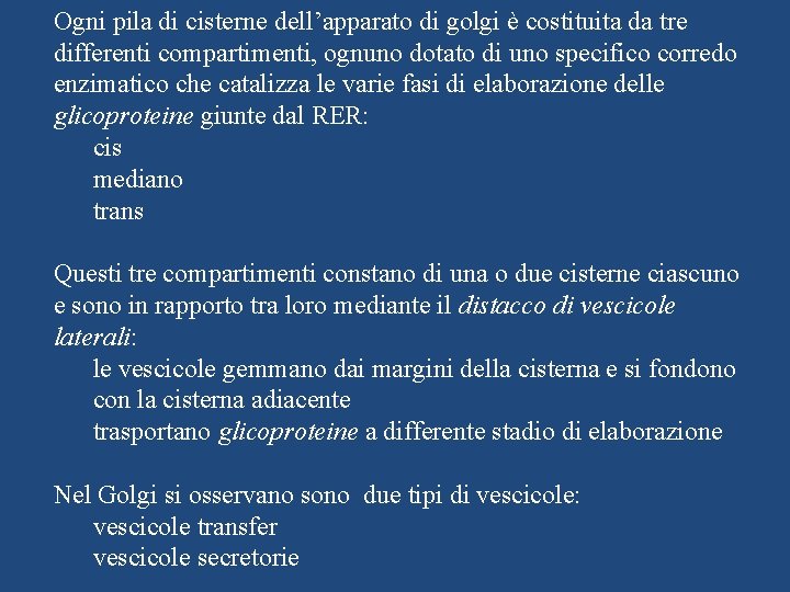 Ogni pila di cisterne dell’apparato di golgi è costituita da tre differenti compartimenti, ognuno