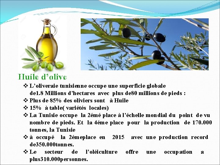 Huile d’olive v L’oliveraie tunisienne occupe une superficie globale de 1. 8 Millions d’hectares