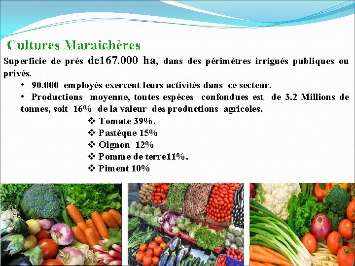 Cultures Maraichères Superficie de prés de 167. 000 ha, dans des périmètres irrigués publiques