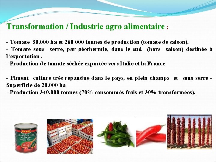Transformation / Industrie agro alimentaire : - Tomate 30. 000 ha et 260 000