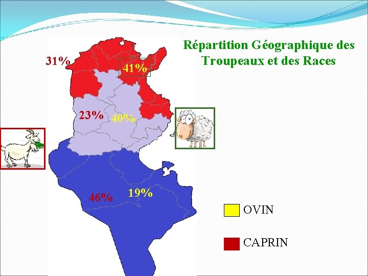 31% 41% Répartition Géographique des Troupeaux et des Races 23% 40% 46% 19% OVIN