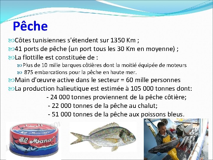 Pêche Côtes tunisiennes s'étendent sur 1350 Km ; 41 ports de pêche (un port