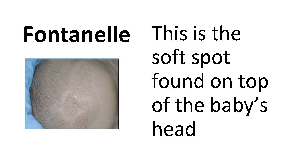 Fontanelle This is the soft spot found on top of the baby’s head 