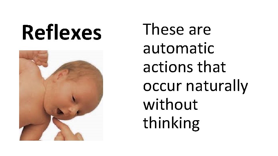 Reflexes These are automatic actions that occur naturally without thinking 