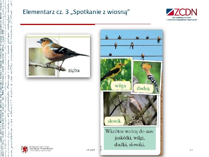 Elementarz cz. 3 „Spotkanie z wiosną” 19 października 2021 13 