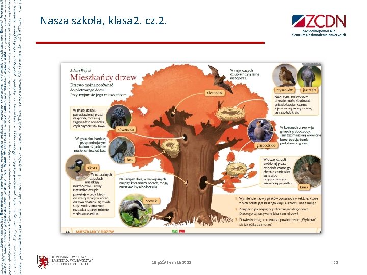 Nasza szkoła, klasa 2. cz. 2. 19 października 2021 20 