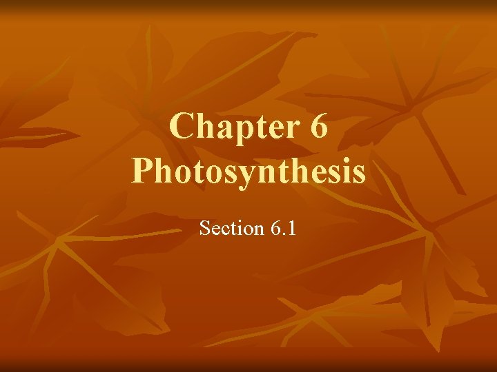 Chapter 6 Photosynthesis Section 6 1 Energy Processes