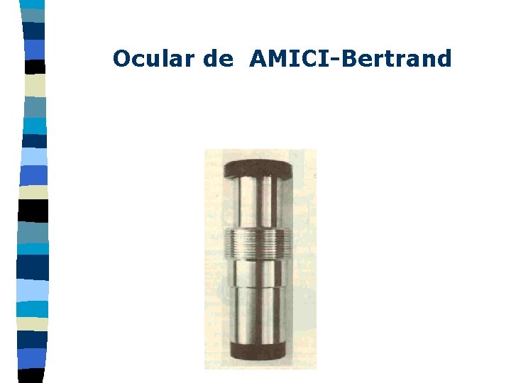 Ocular de AMICI-Bertrand 