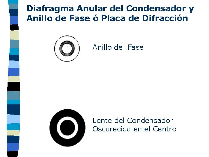 Diafragma Anular del Condensador y Anillo de Fase ó Placa de Difracción Anillo de