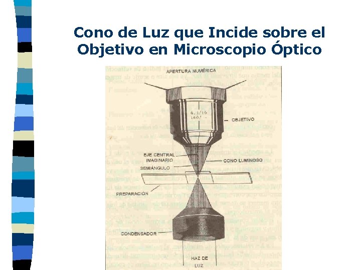 Cono de Luz que Incide sobre el Objetivo en Microscopio Óptico 