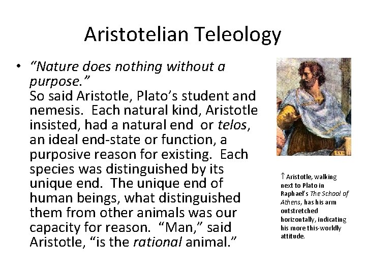 Aristotelian Teleology • “Nature does nothing without a purpose. ” So said Aristotle, Plato’s