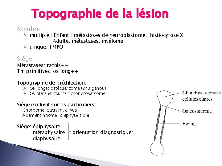 Topographie de la lésion Nombre: Ø multiple : Enfant : métastases de neuroblastome, histiocytose