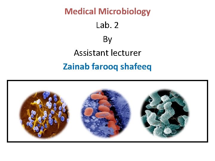 Medical Microbiology Lab. 2 By Assistant lecturer Zainab farooq shafeeq 