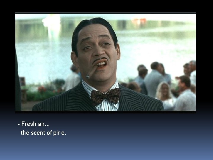 - Fresh air. . . the scent of pine. 