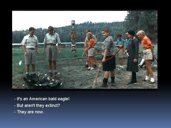 - It's an American bald eagle! - But aren't they extinct? - They are