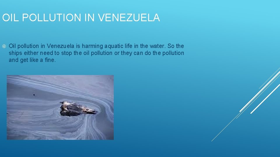 OIL POLLUTION IN VENEZUELA Oil pollution in Venezuela is harming aquatic life in the