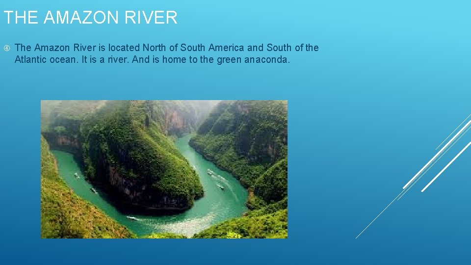 THE AMAZON RIVER The Amazon River is located North of South America and South