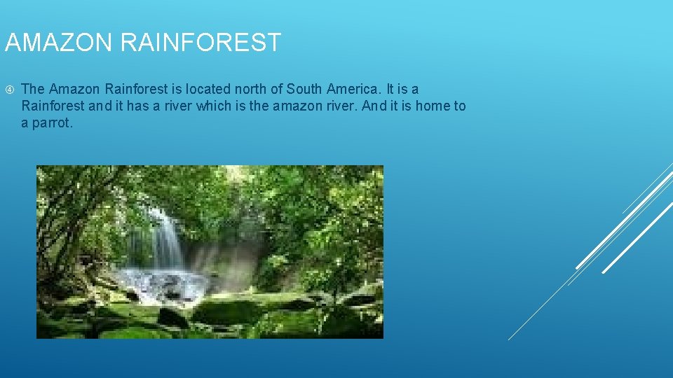 AMAZON RAINFOREST The Amazon Rainforest is located north of South America. It is a