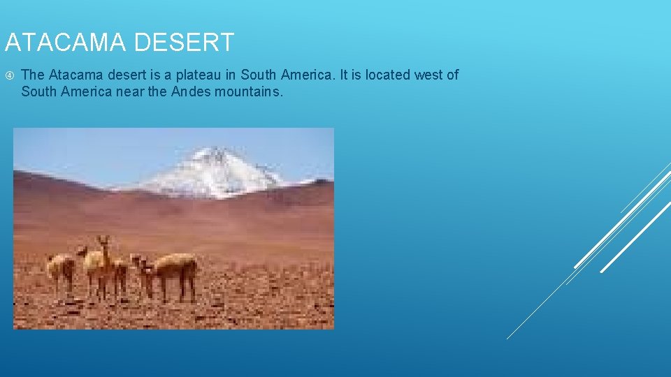 ATACAMA DESERT The Atacama desert is a plateau in South America. It is located