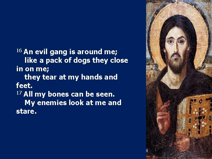 16 An evil gang is around me; like a pack of dogs they close