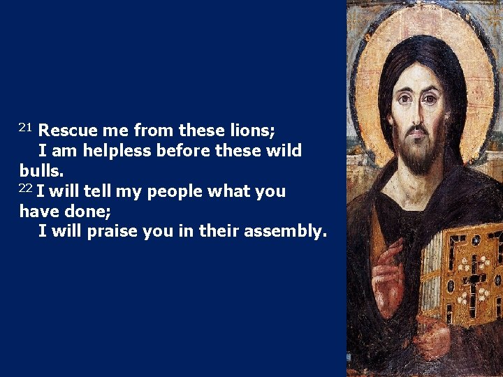 Rescue me from these lions; I am helpless before these wild bulls. 22 I