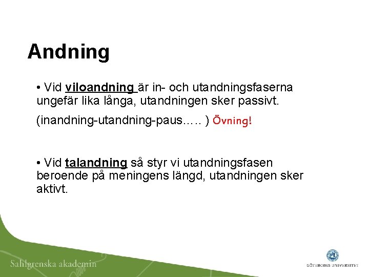 Andning • Vid viloandning är in- och utandningsfaserna ungefär lika långa, utandningen sker passivt.