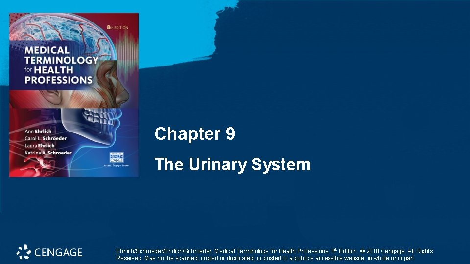 Chapter 9 The Urinary System Ehrlich/Schroeder/Ehrlich/Schroeder, Medical Terminology for Health Professions, 8 th Edition.