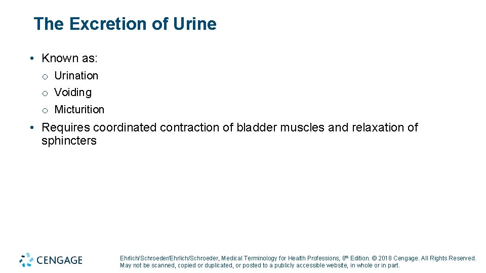 The Excretion of Urine • Known as: o Urination o Voiding o Micturition •