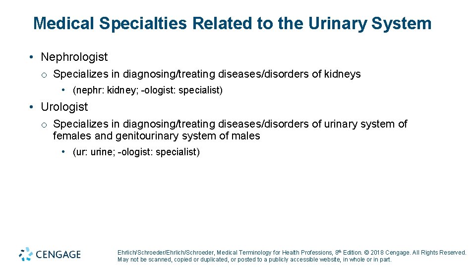 Medical Specialties Related to the Urinary System • Nephrologist o Specializes in diagnosing/treating diseases/disorders