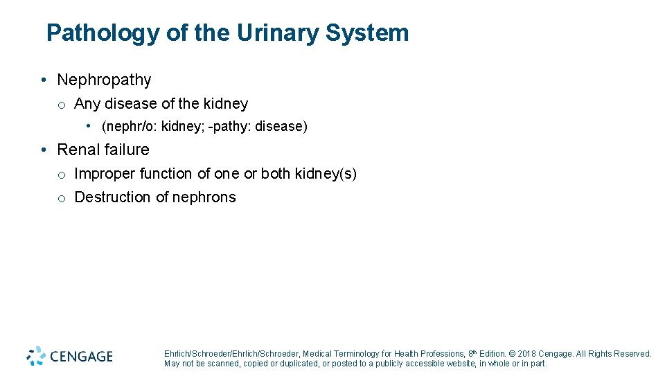 Pathology of the Urinary System • Nephropathy o Any disease of the kidney •