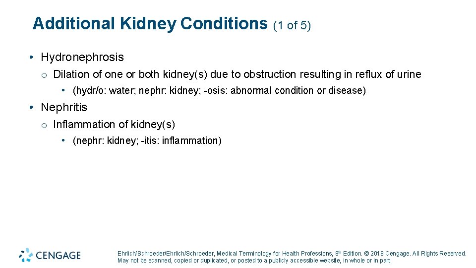 Additional Kidney Conditions (1 of 5) • Hydronephrosis o Dilation of one or both