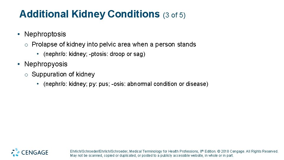 Additional Kidney Conditions (3 of 5) • Nephroptosis o Prolapse of kidney into pelvic