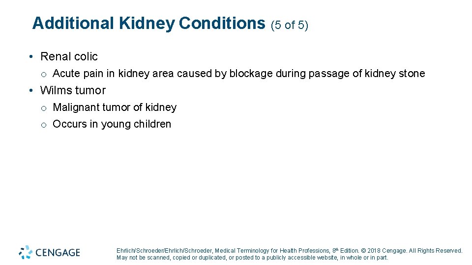 Additional Kidney Conditions (5 of 5) • Renal colic o Acute pain in kidney Additional Kidney Conditions (5 of 5) • Renal colic o Acute pain in kidney