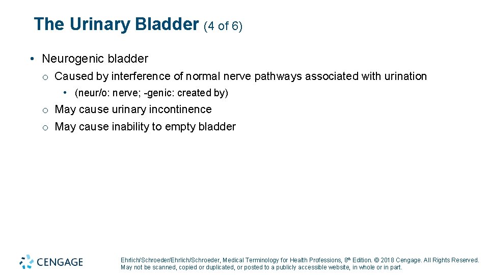 The Urinary Bladder (4 of 6) • Neurogenic bladder o Caused by interference of